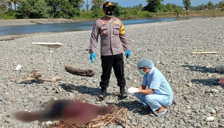 Sesosok mayat di temukan warga di pinggir sungai Singkoyo, Kecamatan Toili, Jumat (23/10).[Foto:Humas Polres Banggai]