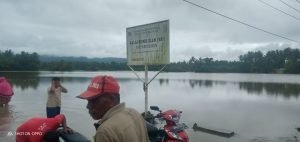 Ratusan Petani Sawah di Luktim Terancam Gagal Panen