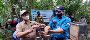 Lestarikan Satwa Langka, ESSA PT.PAU Lepas Liarkan 35 Ekor Burung Maleo