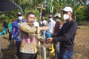 Kungker di Balantak, Bupati Salurkan Ribuan Bibit Pala dan Durian