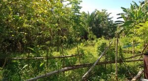 Lahan Telah Disiapkan, Pemda Banggai Diminta Dorong Pembanguan SMK Migas di Batui