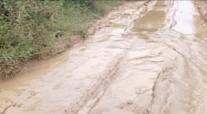 Kondisi Jalan Siuna-Bualemo Memprihatinkan, Warga Ramai Sindir Pemerintah