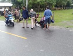 Kecelakaan Tabrak Sapi Kembali Terjadi di Kintom