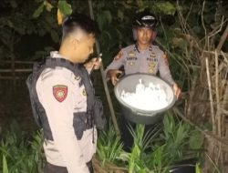 Polisi Sita 27 Kantong CT Siap Edar di Moilong