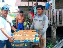 Pemkab Banggai Lakukan Penguatan & Penambahan Modal Usaha 900 KK Peternak Ayam di Kabupaten Banggai