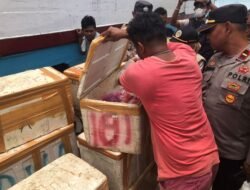 Ratusan Kilo Daging Sapi Tanpa Dokumen Asal Sanana, Diamankan Polisi & Balai Karantina di Pelabuhan Luwuk Banggai