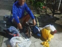 Polisi Amankan Pelaku Judi Sabung Ayam di Nuhon Banggai