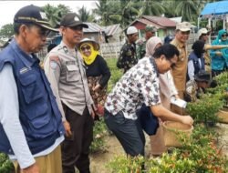 Polsek Batui Dampingi Kunjungan Kementerian Pertanian RI di Nonong Banggai