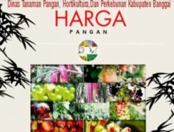 Update Harga Komoditi Kabupaten Banggai Periode April 2024