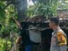 Pemuda 30 Tahun Gantung Diri di Pohon Mangga, Polsek Batui Datangi TKP