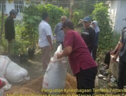 Pembuatan Pupuk Organik, Sekolah Lapang Kelompok Tani Batui