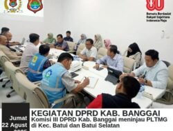 Komisi III DPRD Banggai Tinjau Pembangunan PLTMG 40MW 