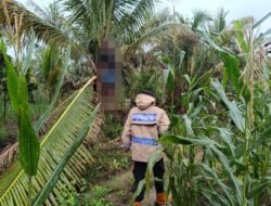 Polisi Evakuasi Sesosok Mayat Diduga Gantung Diri di Simpang Raya Banggai