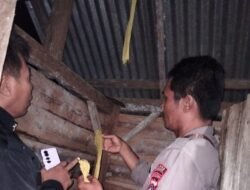 Petani di Toili Barat Ditemukan Tewas Gantung Diri, Ini Penjelasan Polisi