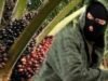 Pencurian Buah Sawit di Baturube Kian Brutal, Petani Resah, Minta Polisi Bertindak