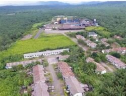 Kontribusi Besar PT.KLS, Realisasi Pembayaran Pajak Tahun 2025 Rp50,7 Miliar