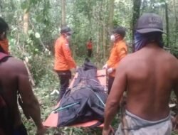 Basarnas, Polri, dan TNI Berhasil Temukan Warga Desa Pisou yang Hilang