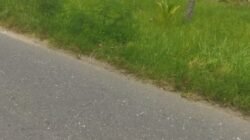 Bhabinkamtibmas Kayutanyo Imbau Pelaku Usaha Arang Tempurung Utamakan Keselamatan Lingkungan