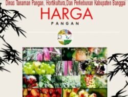 Update Harga Komoditas Tanaman Pangan Minggu ke-2 Januari 2026