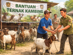 Beredar di Medsos, Bantuan Ternak Kambing di Desa Malik Diduga Tidak Tepat Sasaran