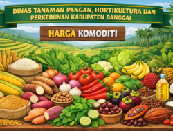 Update Harga Komoditi Kabupaten Banggai Minggu ke-2 Maret 2026
