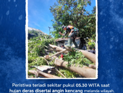 Babinsa Bungin Timur Bergerak Cepat Evakuasi Rumah Tertimpa Pohon di Soho