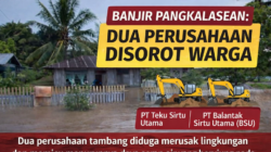 Dua Perusahaan Tambang di Hulu Dikaitkan Banjir Pangkalaseang