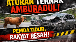 Penerapan Aturan Hewan Ternak Dinilai Mandul