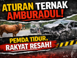 Penerapan Aturan Hewan Ternak Dinilai Mandul