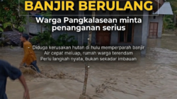 Banjir Pangkalasean Diduga Dipicu Kerusakan Hutan Hulu, Warga Minta Penanganan Serius