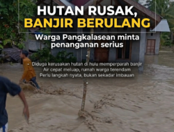 Banjir Pangkalasean Diduga Dipicu Kerusakan Hutan Hulu, Warga Minta Penanganan Serius