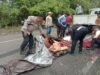 Polisi Evakuasi Pick up Alami Kecelakaan Tunggal di Jalan Lingkar Luwuk-Batui
