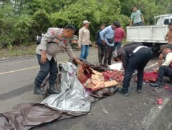 Polisi Evakuasi Pick up Alami Kecelakaan Tunggal di Jalan Lingkar Luwuk-Batui