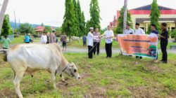 Polres Banggai Salurkan Daging Kurban ke Masyarakat hingga Jurnalis, Pererat Silaturahmi di Momen Idul Adha