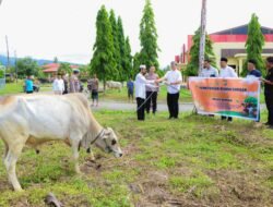 Polres Banggai Salurkan Daging Kurban ke Masyarakat hingga Jurnalis, Pererat Silaturahmi di Momen Idul Adha