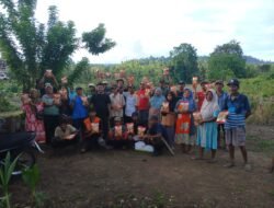 Pemdes Baya Salurkan Bantuan Bibit Jagung Kepada 40 Penerima Manfaat