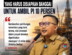 Jika Tak Digendong K3S, Banggai Berpotensi Siapkan Rp1,07 Triliun untuk Ambil PI 10 Persen