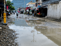 Viral “Portal dan Kolam”, Warganet Usul Piara Ikan Mas di Pasar Simpong