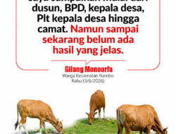 Ternak Berkeliaran di Permukiman, Warga Nambo Pertanyakan Penegakan Perda
