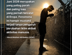 Gila! Panas Eropa Tewaskan 1.300 Orang, Jauh Lebih Ganas dari Terik Sulawesi Tengah