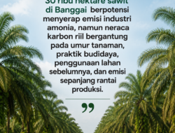 Sawit Diklaim Mampu Serap Karbon Tinggi, Bisakah Jadi Penyeimbang Emisi Industri di Banggai?