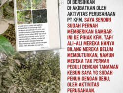 KFM Bebas Babat Lahan, BKP Bebas Masuk