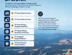 Merinding, Begini Penampakan Hutan Siuna yang Diabadikan Warganet dari Dalam Pesawat