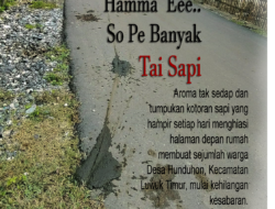 Warga Kesal, Halaman Rumah Dipenuhi Kotoran Sapi