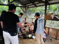 Kandang Ayam Disulap Jadi Sarang Narkoba, Pria di Batui Banggai Ditangkap Polisi