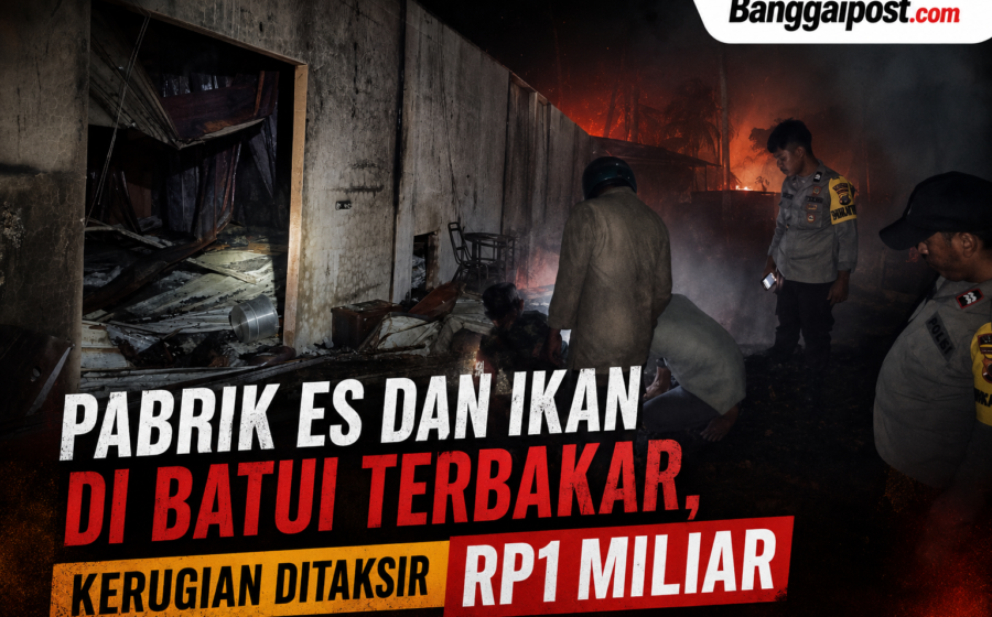 Pabrik Es dan Ikan di Batui Terbakar, Kerugian Ditaksir Rp1 Miliar