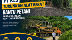PT KLS Turunkan Alat Berat Bantu Petani Perbaiki Jalan Kantong Produksi