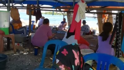 Menengok Aktivitas Warga Dalam Memproses Kerang (Se-Se), Dari Rebusan, Memecahkan Cangkang Hingga Mengambil Isinya