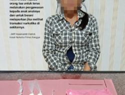 Diduga Edarkan Pil Koplo, Seorang Ibu Rumah Tangga di Luwuk Diamankan Polisi