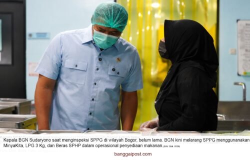BGN Larang Dapur MBG Gunakan Komoditas Bersubsidi, Pelanggar Terancam Sanksi